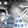 ガンニバル ましろの正体とは？食人村の闇に隠された衝撃の真実アイキャッチ