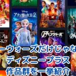 スターウォーズだけじゃない！ディズニープラスで楽しめる珠玉の作品群を一挙紹介