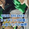 WIND BREAKERカップリング図鑑！人気リングの秘密とは？アイキャッチ