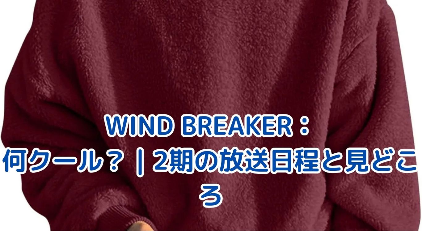 WIND BREAKER何クール？2期の放送日程と見どころを大公開！アイキャッチ