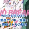 WIND BREAKER漫画レビュー：熱血ヤンキーの新風とは？アイキャッチ