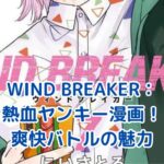 WIND BREAKER漫画レビュー：熱血ヤンキーの新風とは？アイキャッチ