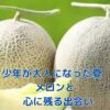少年が大人になった夏とメロンの出会いが描かれる物語