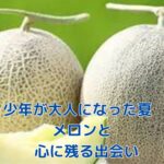 少年が大人になった夏とメロンの出会いが描かれる物語
