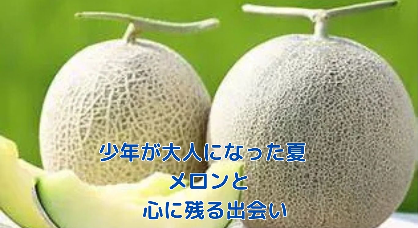 少年が大人になった夏とメロンの出会いが描かれる物語