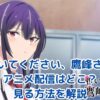履いてください、鷹峰さんアニメ配信はどこ？見る方法を解説アイキャッチ