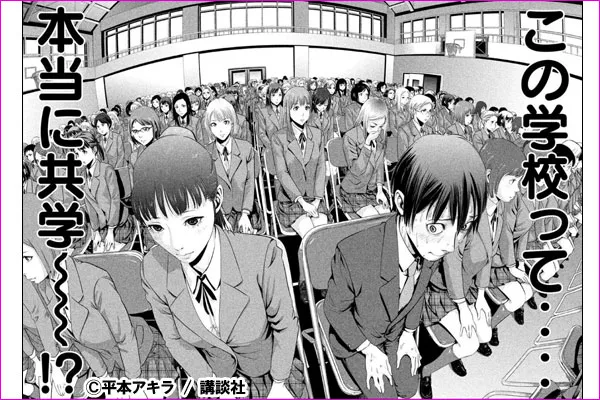 自分に合うハーレム系漫画のおすすめな選び方