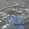 大阪万博の虫、なぜ大量発生？スッキリ解決アイキャッチ