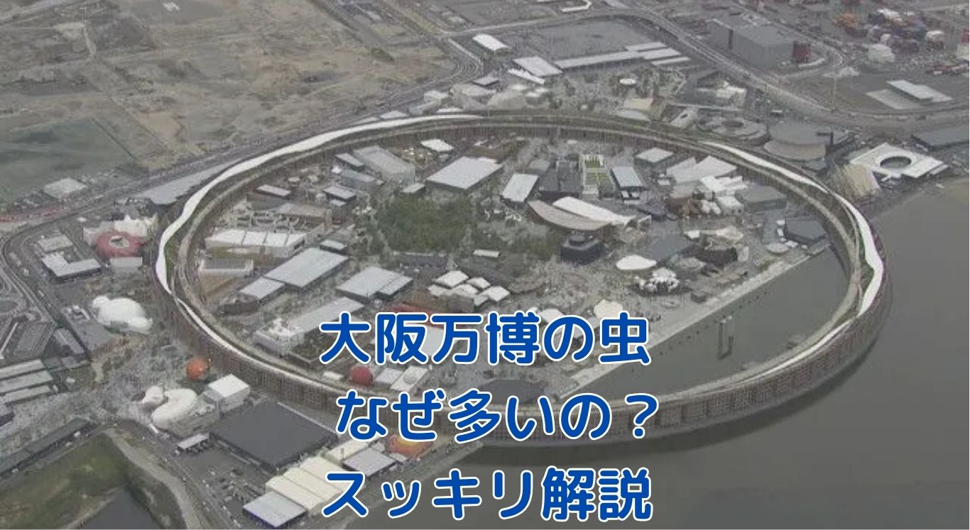 大阪万博の虫、なぜ大量発生？スッキリ解決アイキャッチ
