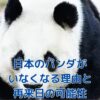 日本からパンダがいなくなる理由とは？契約満了の真相アイキャッチ