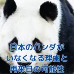 日本からパンダがいなくなる理由とは？契約満了の真相アイキャッチ