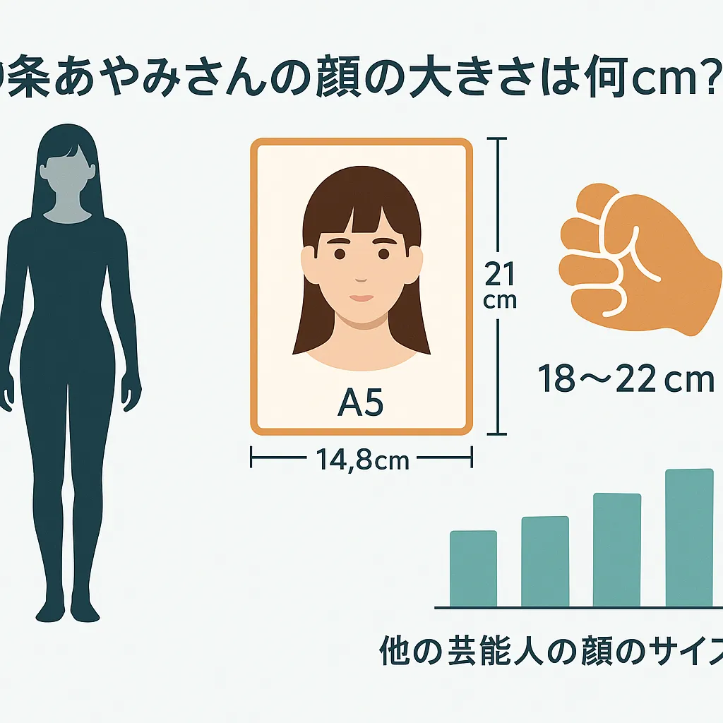 中条あやみさんの顔の大きさは何cm？