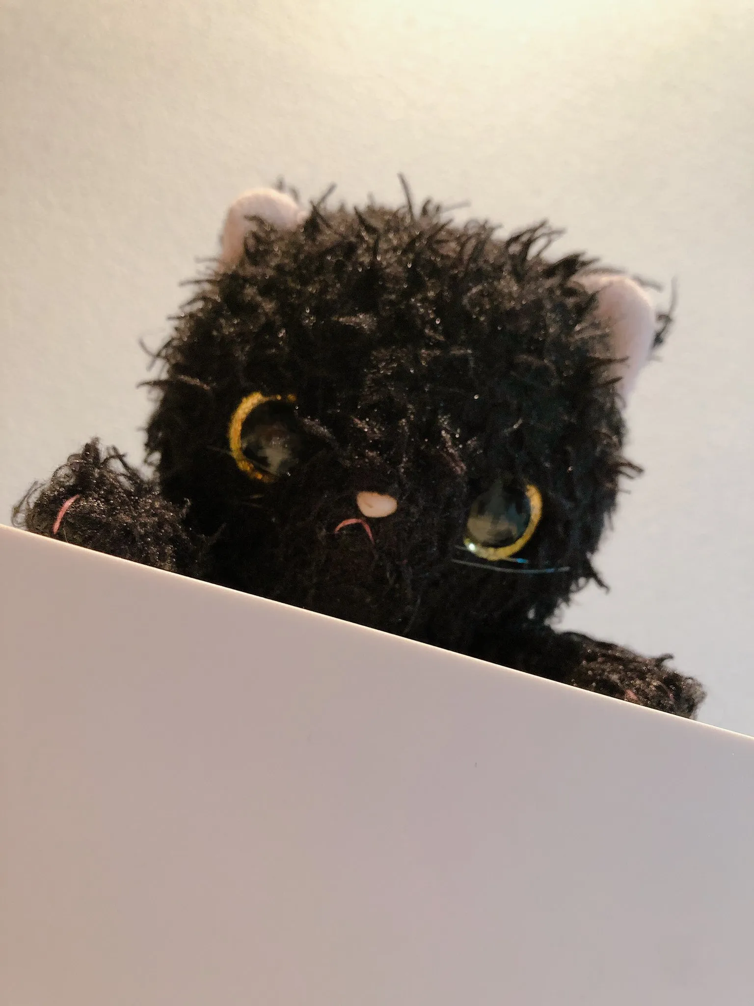 声優・進藤あまねさんの基本プロフィールを紹介